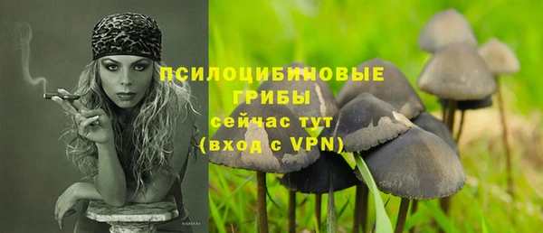 спиды Белокуриха