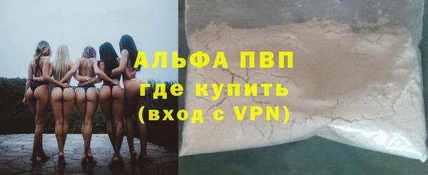 спиды Белокуриха